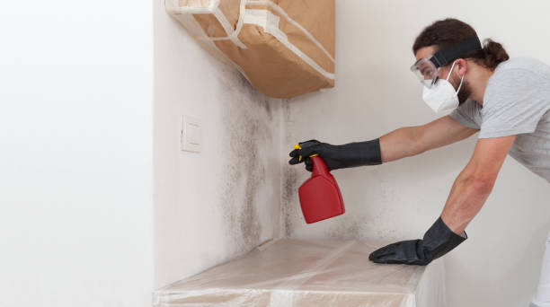Professional Attic Mold Remediation technician working in North Palm Beach, FL